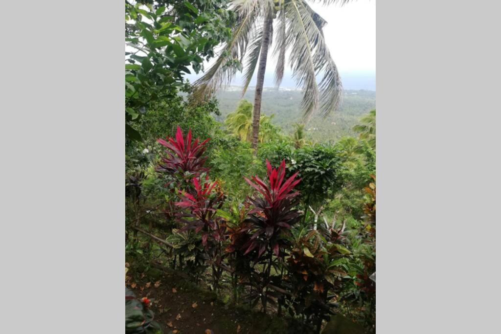 Apartamento The Balcony Of The Camiguin Island Mambajao Exterior foto