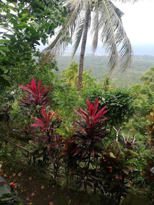 Apartamento The Balcony Of The Camiguin Island Mambajao Exterior foto